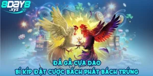 da-ga-cua-dao